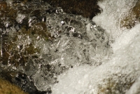 Massage harmonisant de la face antérieure 08, 09, 10 septembre 2026 