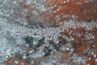 MASSAGE SENSITIF & CRÉATIF  16, 17, 18 décembre 2026 