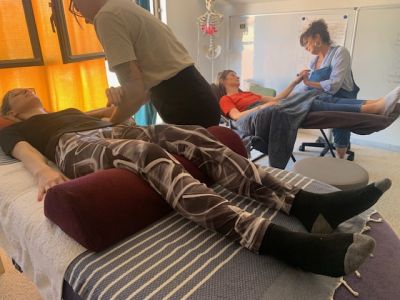 Formation en réflexologie palmaire énergétique